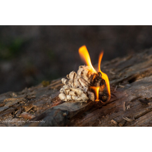 Ніж Ganzo G8012-LG зелений (G8012-LG)