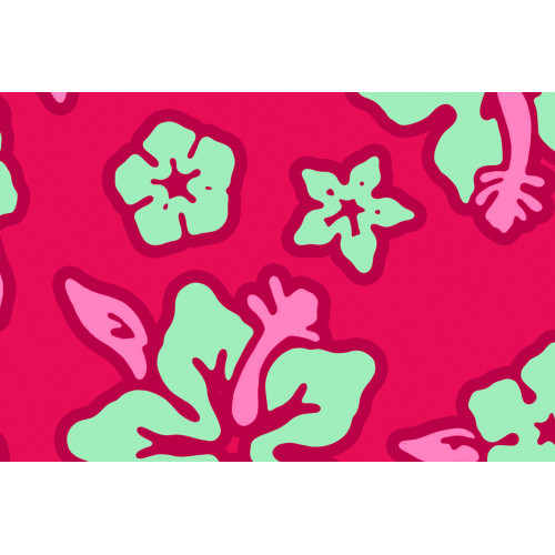 Гамак двомісний з рейками La Siesta Hawaii HQR11-24 hibiscus