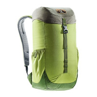 Рюкзак Deuter Walker, 16 л, moss-pine