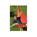 Гамак зі стійкою La Siesta CPH162CNS161 furia roja