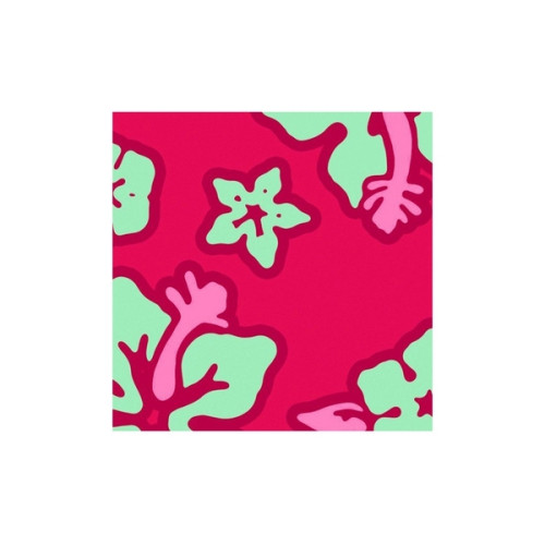 Гамак со стойкой La Siesta HQR1124CNS161 hibiscus