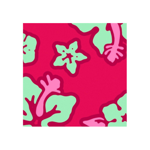 Гамак зі стійкою La Siesta HQR1124MES121 hibiscus