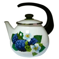 GT-U-125-KB Чайник TM GUSTO Лісова ожина, 2,5 л