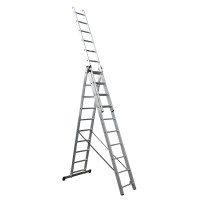ЛЕСТНИЦА УНИВЕРСАЛЬНАЯ - СЕ3х10 (3х10) (FORTE)