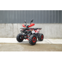 Квадроцикл Forte ATV 125 L красный