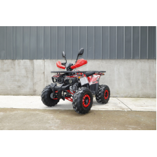 Квадроцикл Forte ATV 125 L красный