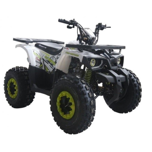 Forte Hunter 125 Квадроцикл бело-зеленый купить по оптовой цене с доставкой в магазине Ellada.com.ua