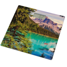 Grunhelm BES-MOU Весы напольные