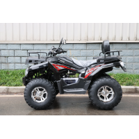 Квадроцикл RATO ATV200 PREMIUM черный
