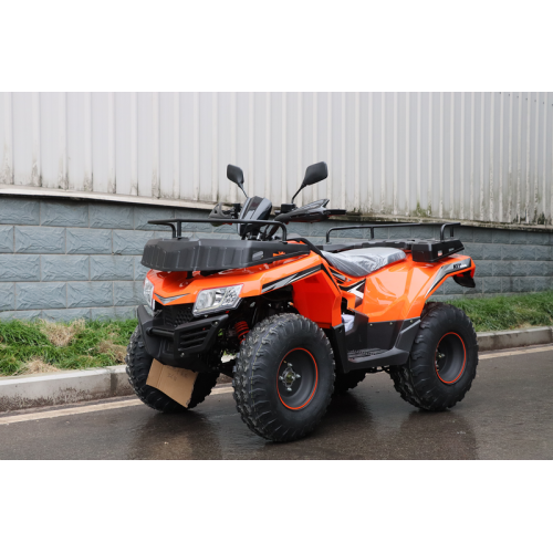 Квадроцикл RATO ATV200 STANDARD оранжевый купить по оптовой цене с доставкой в магазине Ellada.com.ua