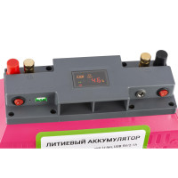 Литий-ионный аккумулятор с зарядкой Weekender 12V 100Aч