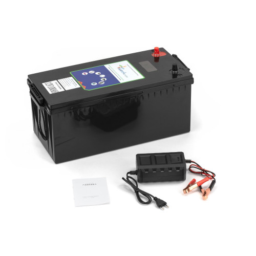 Литий-ферумный аккумулятор с зарядкой Weekender 100Ah 12V LiFePO4 Lithium iron phosphate купить по оптовой цене с доставкой в магазине Ellada.com.ua