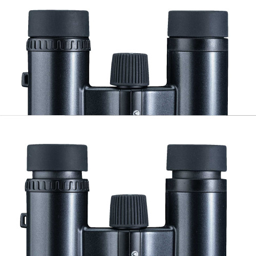 Бинокль Vanguard Vesta Compact 10x21 WP Black Pearl (Vesta 1021 BP)