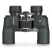 Бинокль Vortex Raptor 10x32 WP (R310)