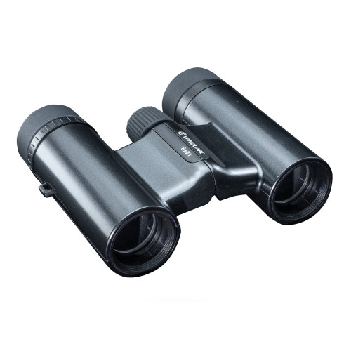 Бинокль Vanguard Vesta Compact 8x21 WP Black Pearl (Vesta 8210 BP)