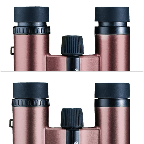 Бинокль Vanguard Vesta Compact 10x21 WP Rose Gold (Vesta 1021 Rose)