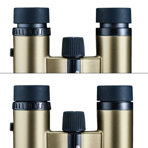 Бинокль Vanguard Vesta Compact 10x21 WP Champagne (Vesta 1021 Cham)