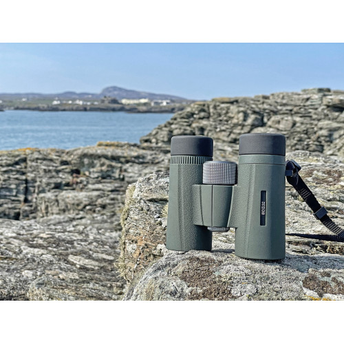 Бинокль Kowa BD II 10x32 XD (11897)