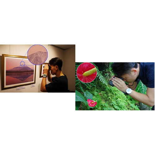 Бінокль Pentax UP 8.5x21 Papilio II (62002) Бінокль Pentax UP 8.5x21 Papilio II (62002)