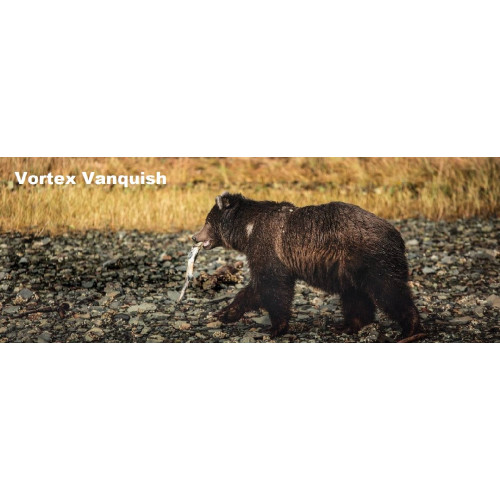 Бинокль Vortex Vanquish 8x26 WP (VNQ-0826)