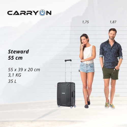 Чемодан CarryOn Steward (S) Black (502322)