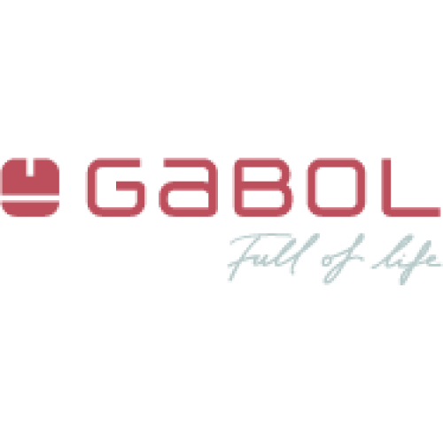 Сумка дорожная Gabol Mailer Travel Grey (120709 016)