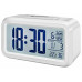 Термометр-гигрометр Bresser Mytime Duo White (8010011)