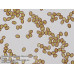 Микроскоп Bresser Trino Researcher 40x-1000x