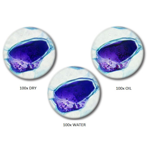 Микроскоп Optika B-292PLi 40x-1000x Bino Infinity