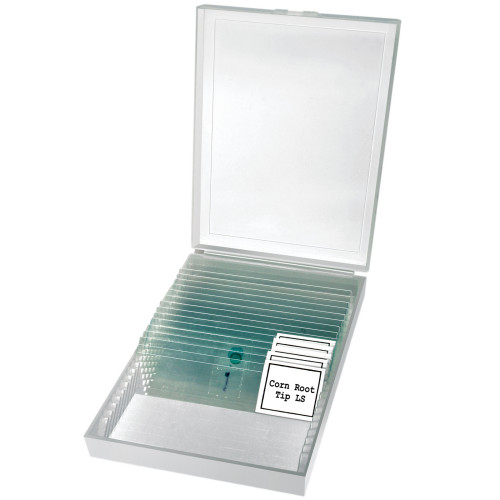 Микроскоп Bresser Erudit Basic Mono 40x-400x (5102100)