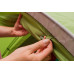 Палатка Vango Tay 300 Treetops (TERTAY T15165)