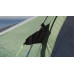 Палатка Outwell Collingwood 6 Green (111065)