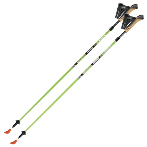 Палки для скандинавской ходьбы Gabel Nordic Revo A1 (7008351390000)