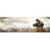 Прицел оптический Hawke Vantage IR 4-12x50 (L4A IR Dot R/G)