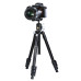 Штатив Vanguard Vesta FB 204ABS (Vesta FB 204ABS)