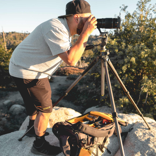 Штатив Vanguard Alta Pro 2+ 263AP (Alta Pro 2+ 263AP)