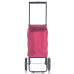 Сумка-тележка Epic City X Shopper Evolution 33 Red Plum