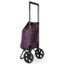 Сумка-тележка Epic City X Shopper Evolution 33 Blackberry Wine