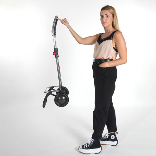Сумка-тележка Rolser I-Max MF 2L 43 Marengo (IMX304-1031)