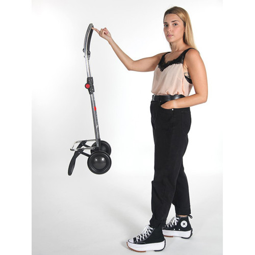 Сумка-візок Rolser I-Max MF 2L 43 Klein (IMX304-1062)