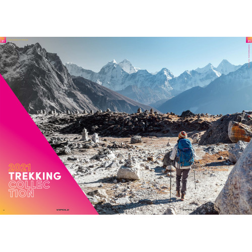 Треккинговые палки Vipole Climber AS QL (S20 11)